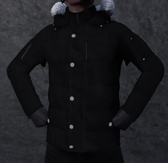 Winterjacke V2 - 2