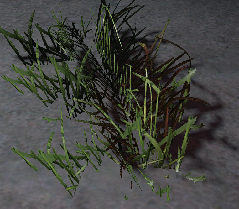 Gras von Draußen