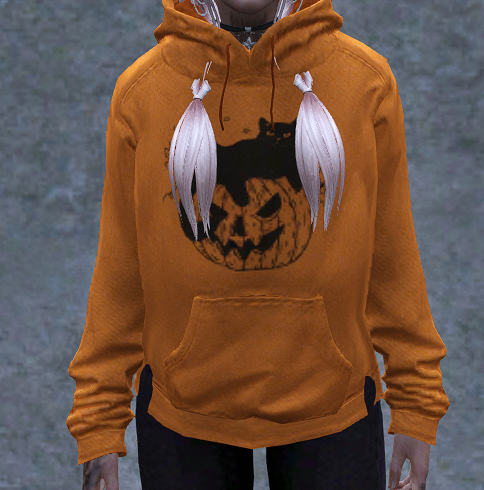 Halloween Pullover 2024 12