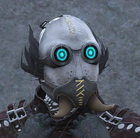 Grauer Raider