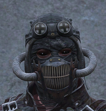 Schwarzer Marauder
