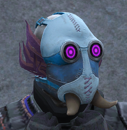 Blauer Raider
