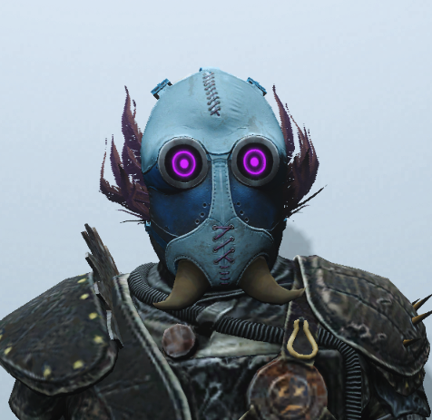 Blauer Raider