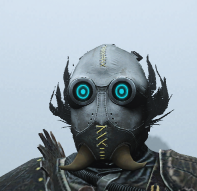 Grauer Raider