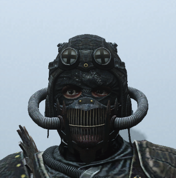 Schwarzer Marauder