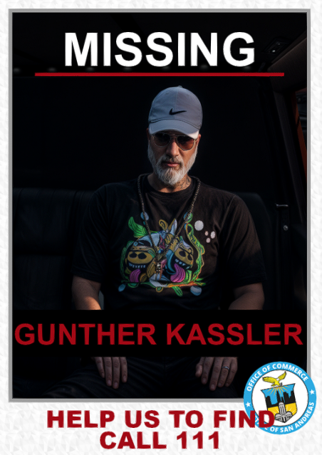 Plakat: Vermisste Person